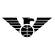 纽卡斯尔老鹰女篮 logo