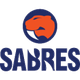 桑德林女篮 logo