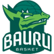 巴乌鲁 logo