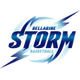 贝拉林风暴 logo