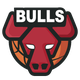 芝加哥公牛  logo