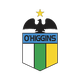奥伊金斯  logo