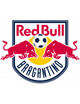 布拉干RB logo